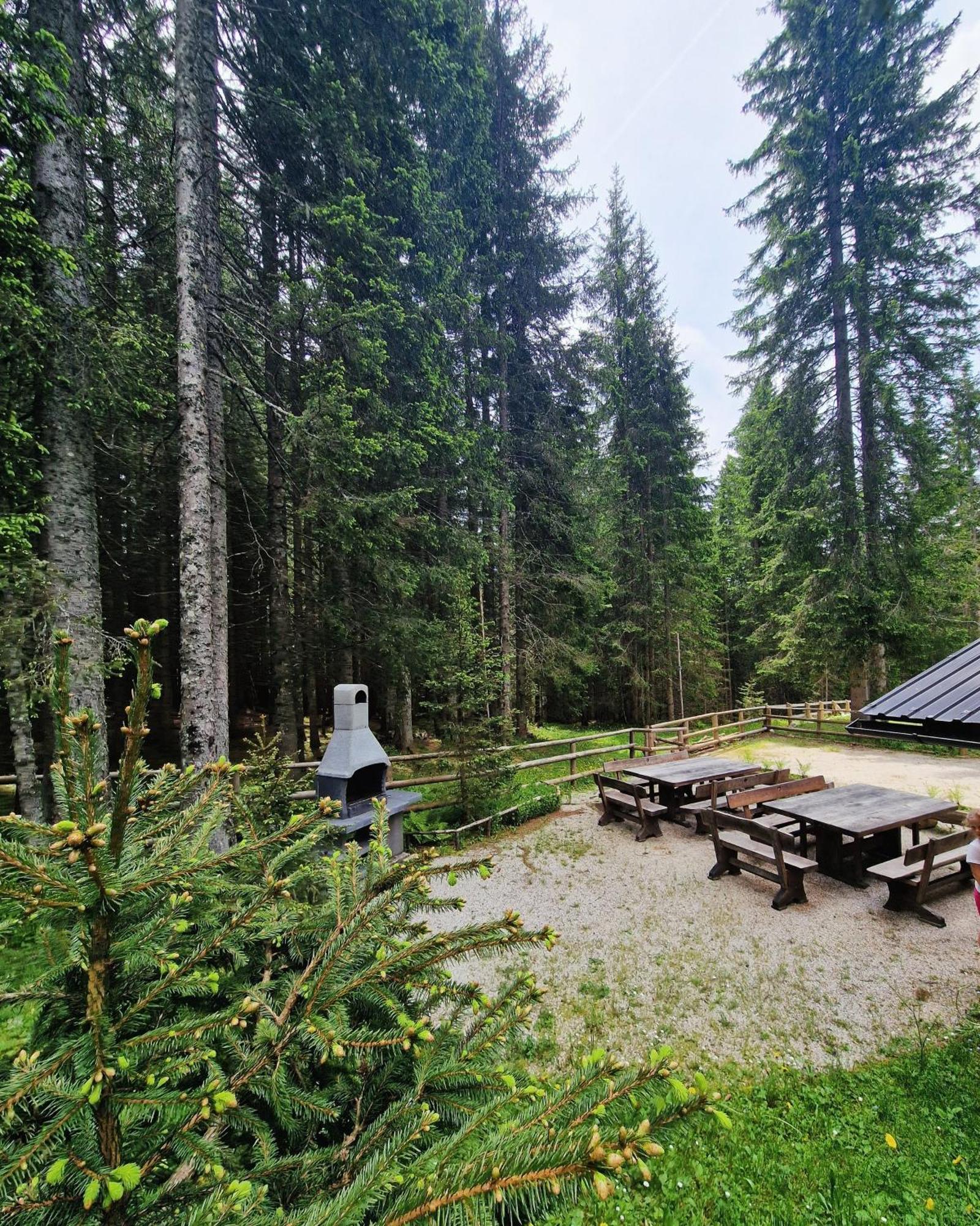 Forest Apartments Pokljuka Zgornje Gorje Екстериор снимка