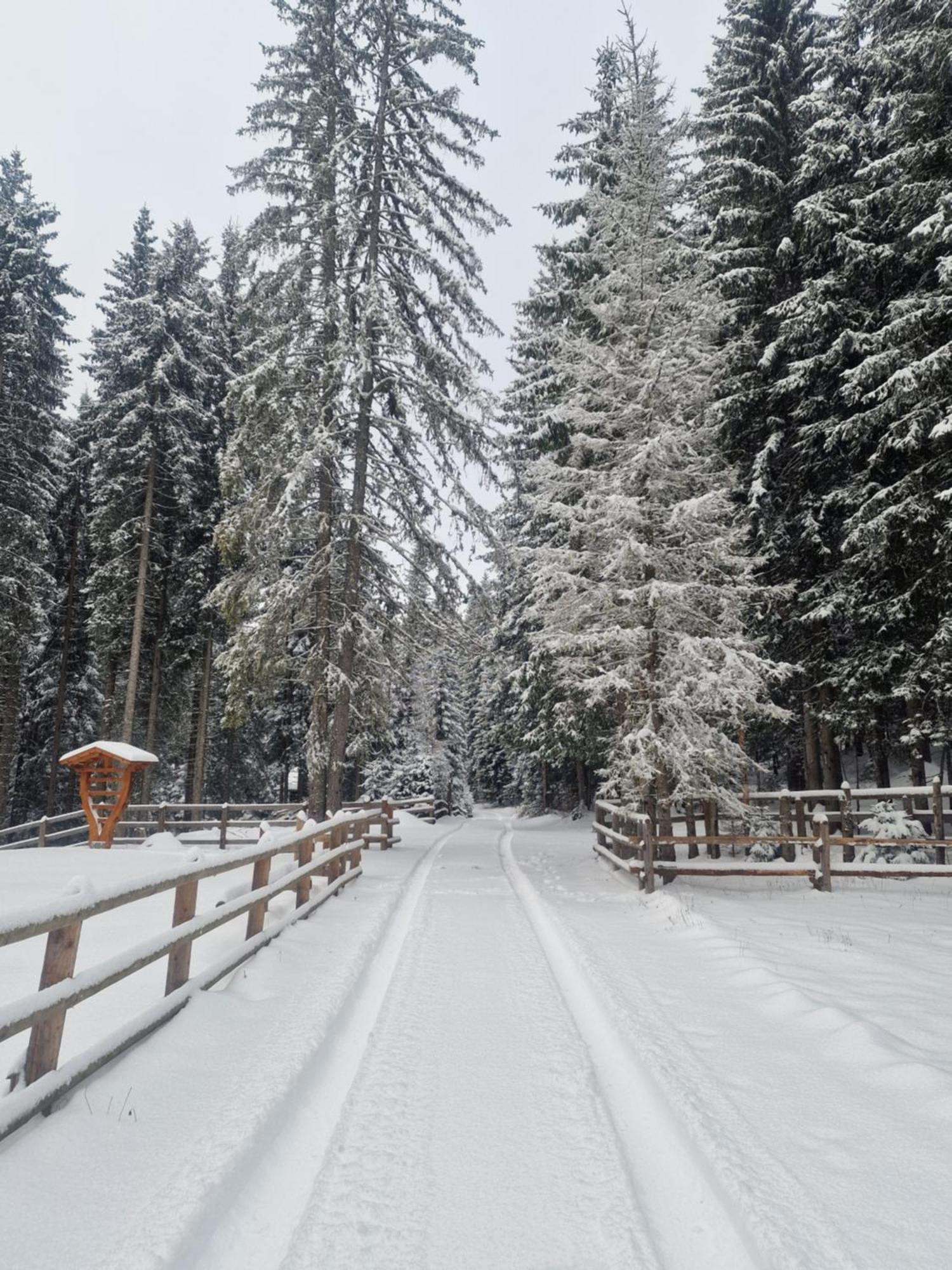 Forest Apartments Pokljuka Zgornje Gorje Екстериор снимка