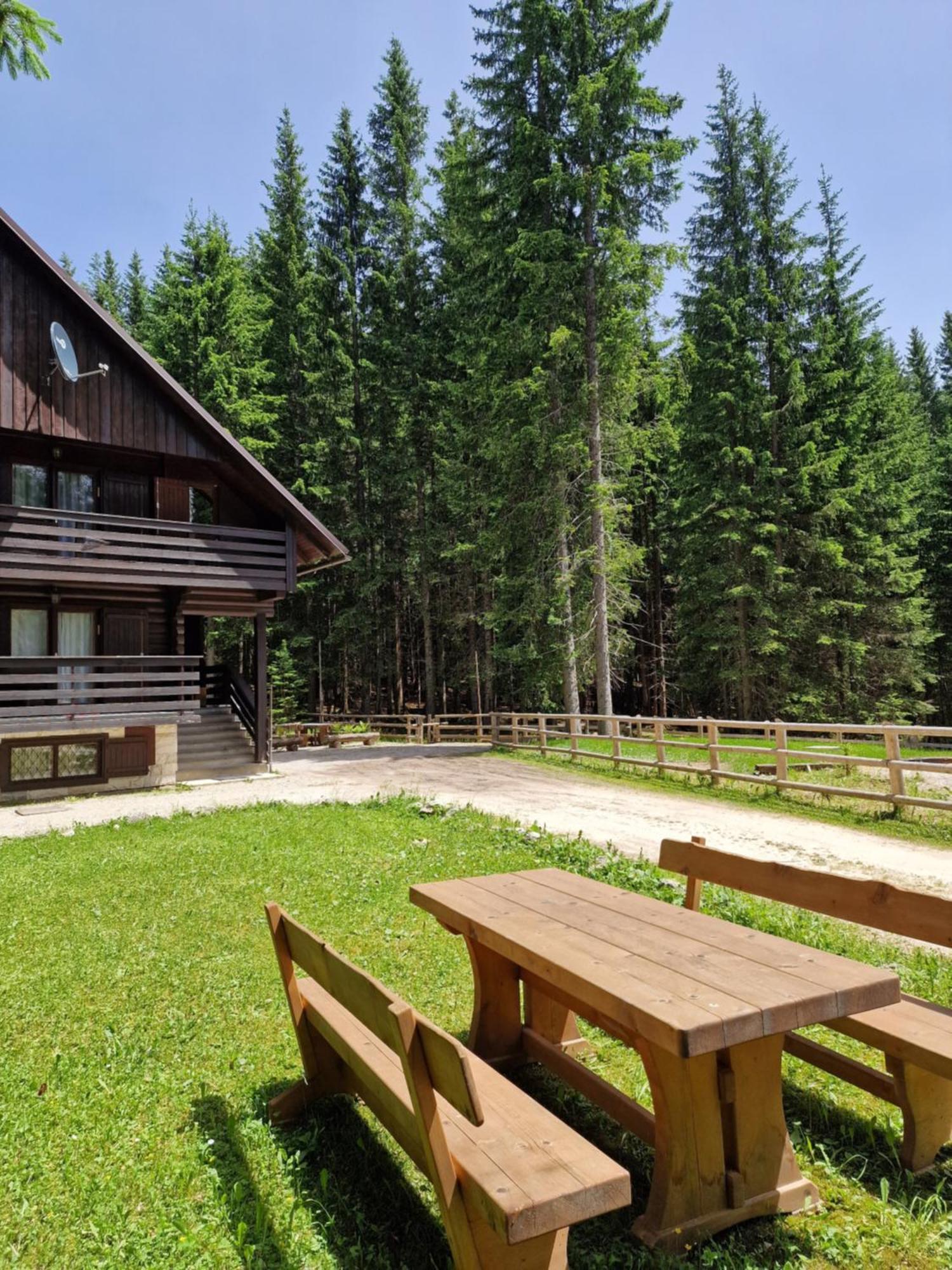 Forest Apartments Pokljuka Zgornje Gorje Екстериор снимка