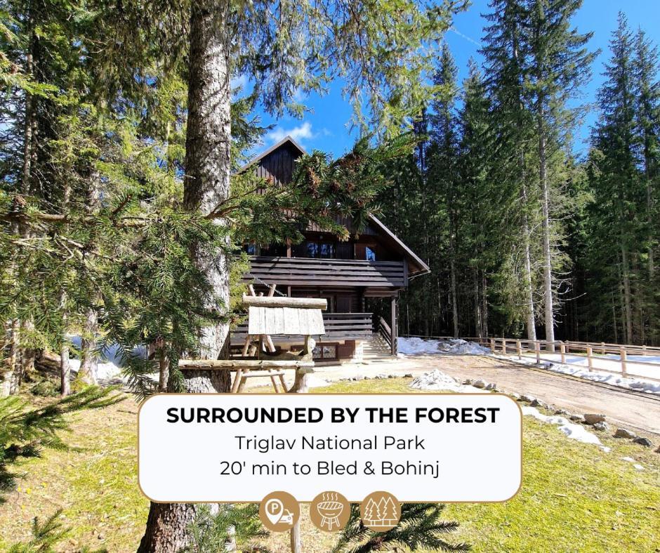 Forest Apartments Pokljuka Zgornje Gorje Екстериор снимка