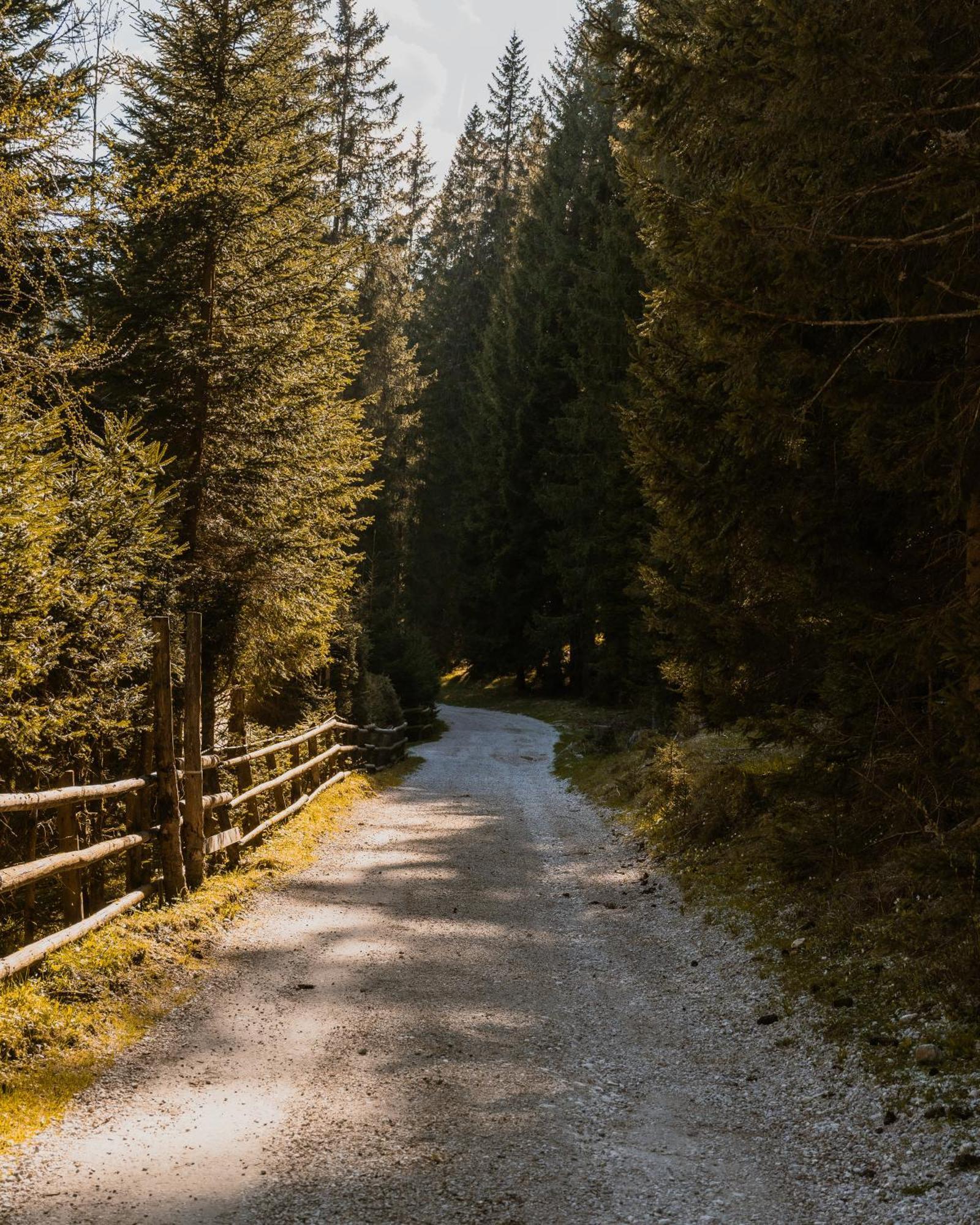 Forest Apartments Pokljuka Zgornje Gorje Екстериор снимка